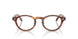 2144 - Brown - Demo Bio