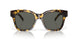 201603 - Tortoise - Gray