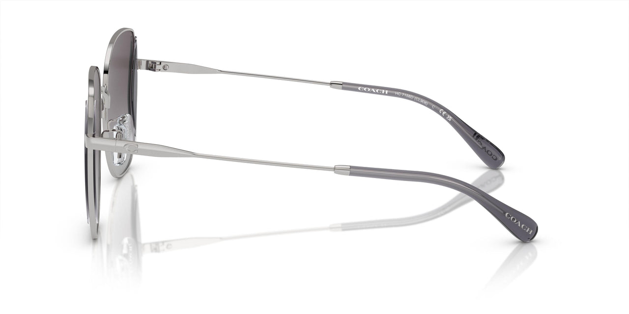90013C - Silver - Grey Gradient