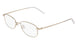 Flexon H6099 Eyeglasses