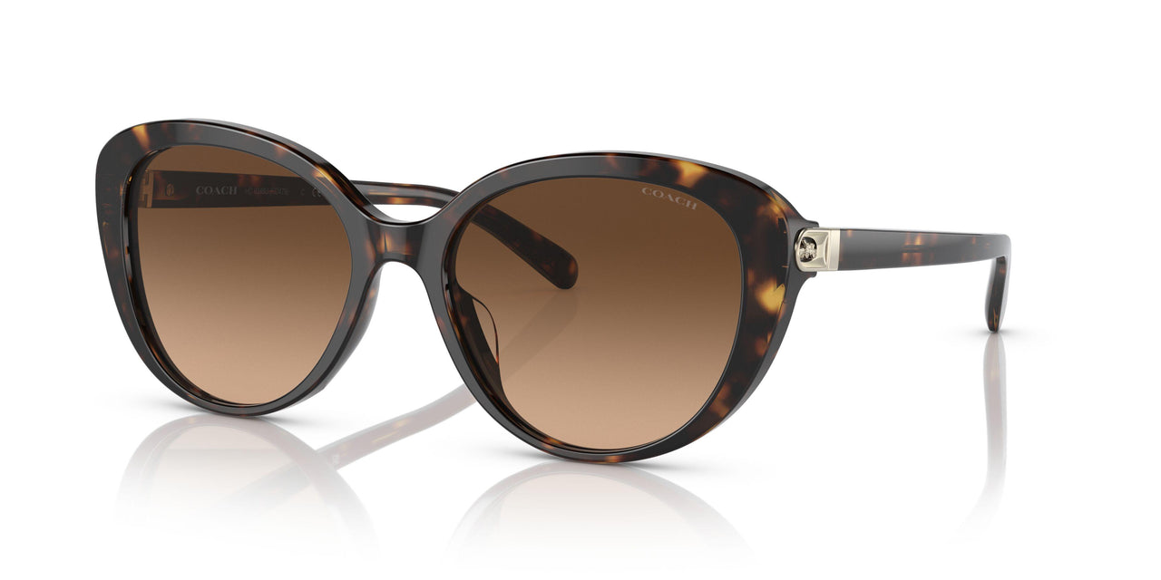 512074 - Havana - Brown Gradient