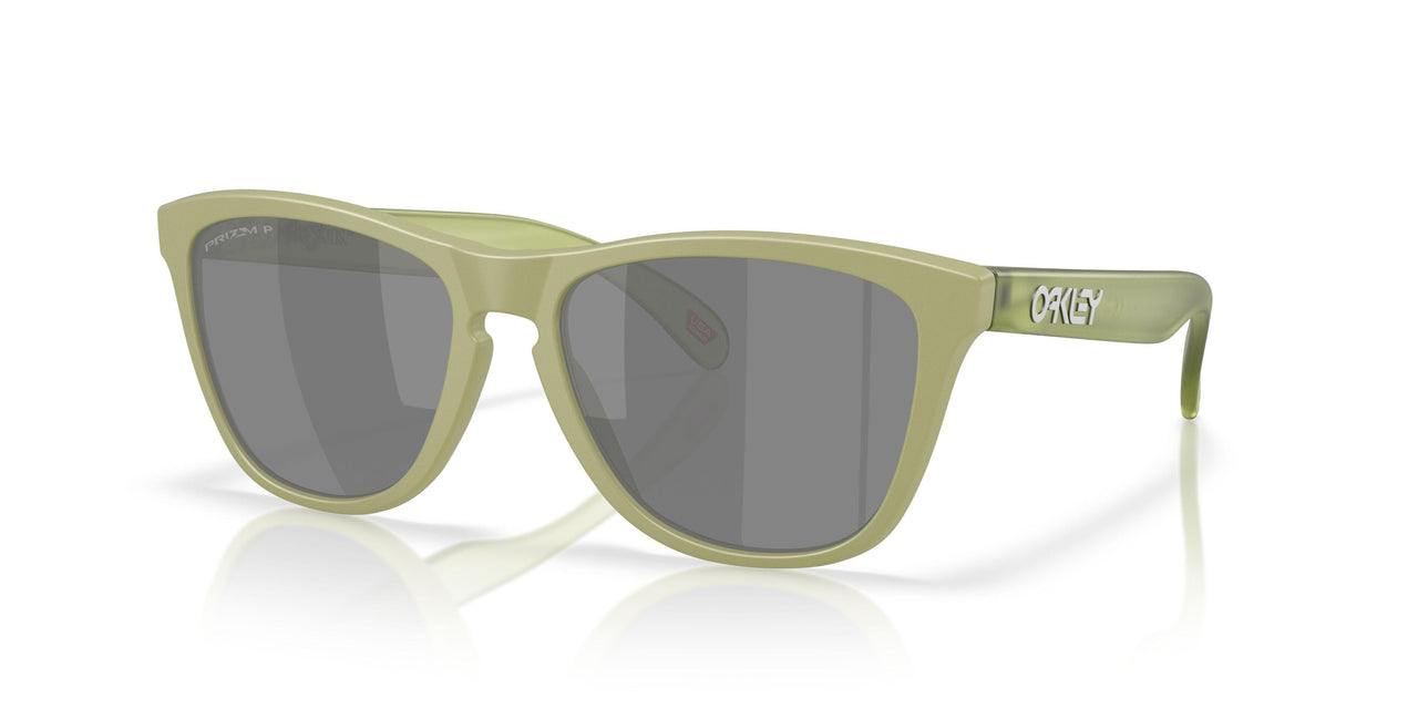9245E9 - Green - Prizm Black Polarized