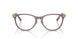 8401 - Brown