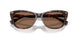 500373 - Tortoise - Brown