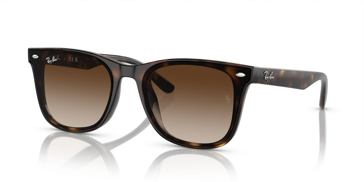 710/13 - Tortoise - Brown