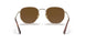 920757 - Gold - Polar Brown