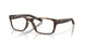801504 - Tortoise