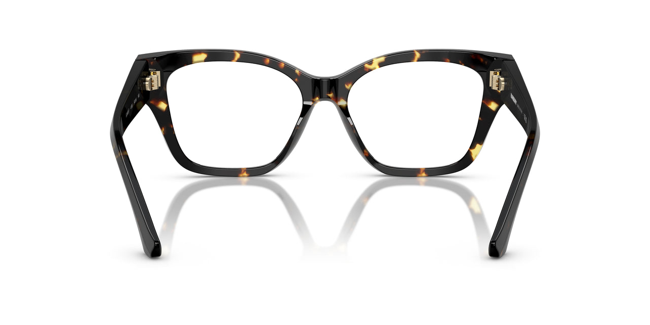 4106 - Tortoise