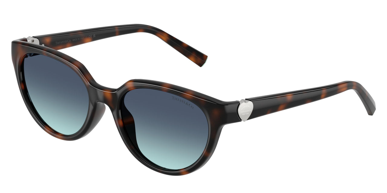 80159S - Tortoise - Azure Gradient Blue
