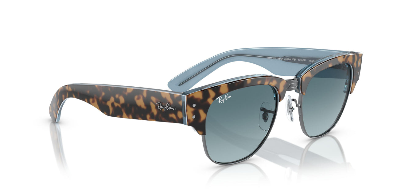 13163M - Tortoise - Blue