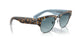 13163M - Tortoise - Blue