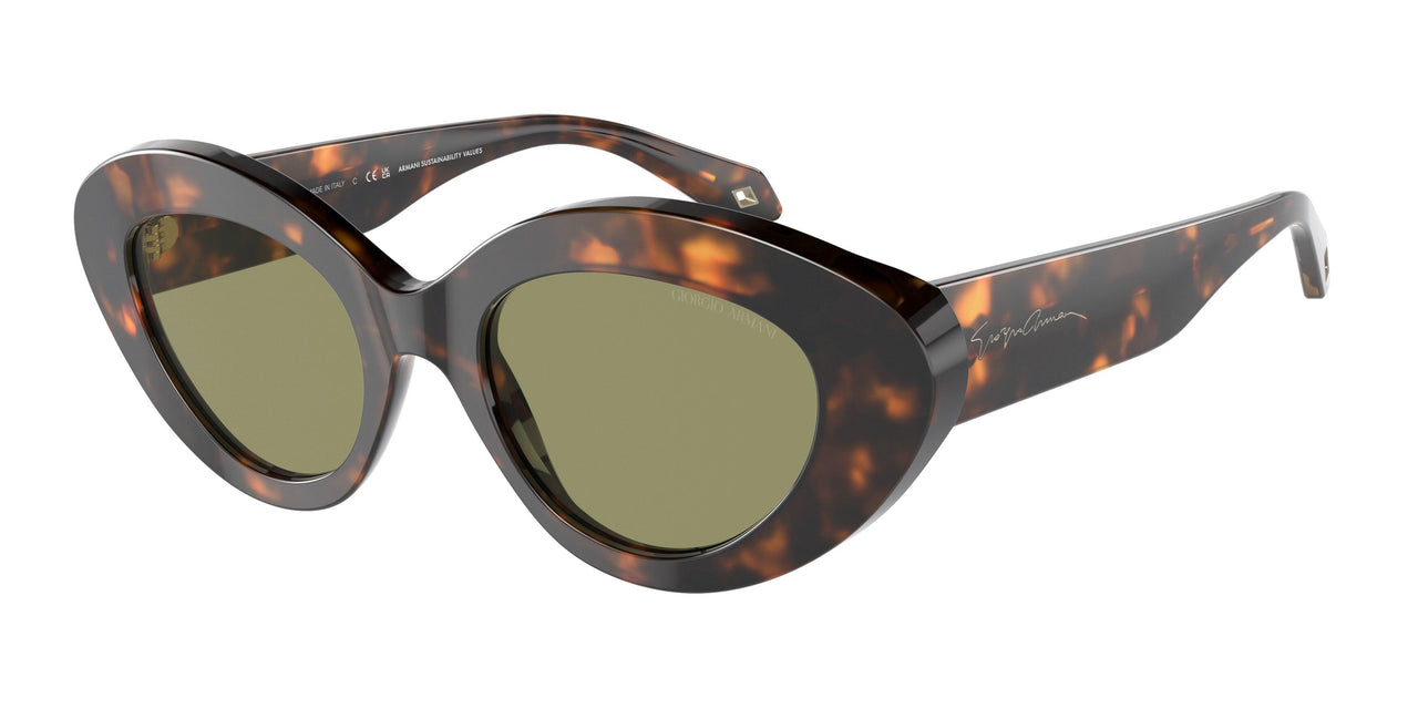 599314 - Tortoise - Green