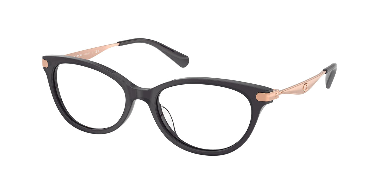 Coach 6245F Eyeglasses