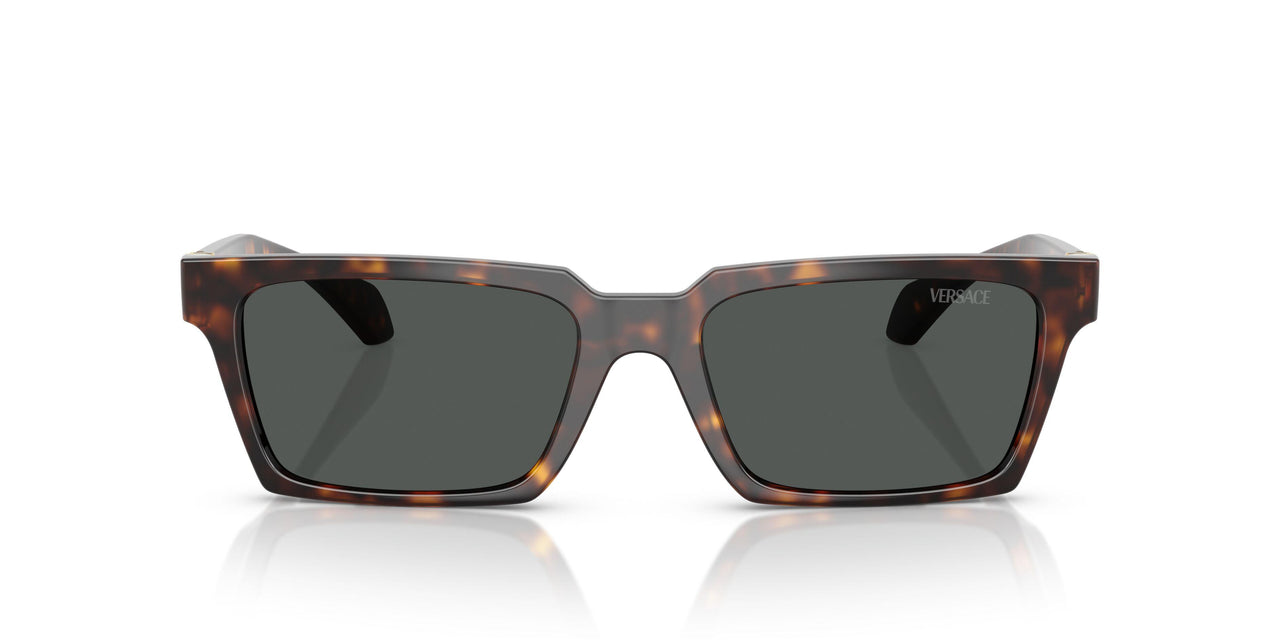 108/87 - Tortoise - Dark Grey