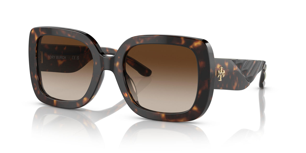 172813 - Havana - Brown Gradient
