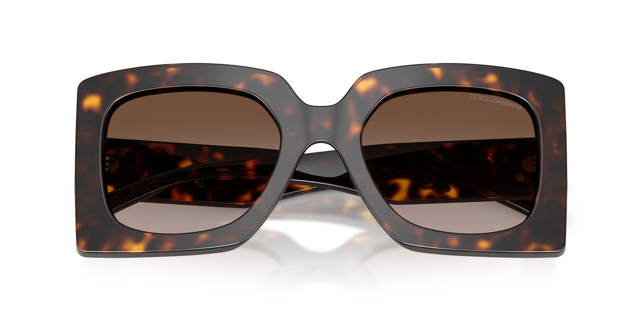 502/13 - Tortoise - Gradient Brown