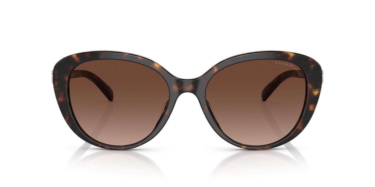 5120T5 - Havana - Brown Gradient Polar