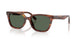 954/71 - Brown - Dark Green