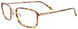 10 - Totroise & Light Brown/ Totroise & Light Brown