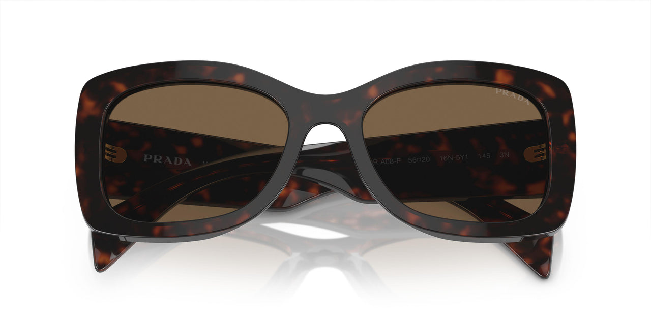 16N5Y1 - Brown - Dark Brown Polar