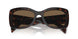 16N5Y1 - Brown - Dark Brown Polar
