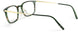 L240 - Havanna Wineyard Green