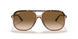 129251 - Havana - Clear Gradient Brown