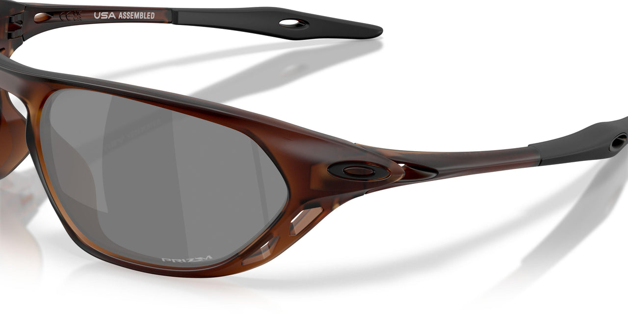 953704 - Brown - Prizm Black