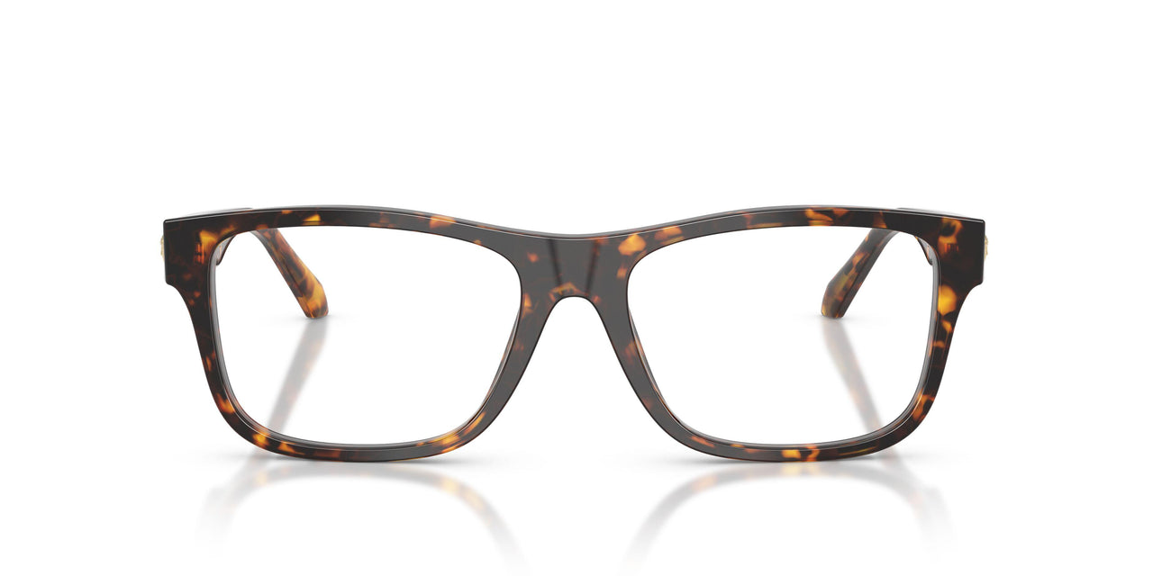 5514 - Tortoise