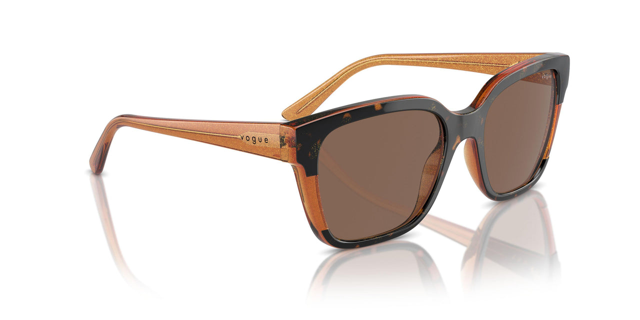 313473 - Tortoise - Dark Brown