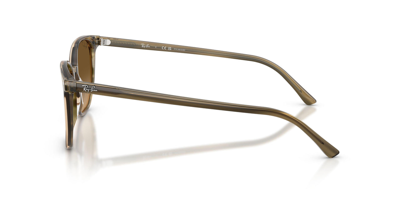 1439M2 - Green - Polarized Brown Gradient
