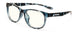 09709 - Navy Tortoise - Clear Neutral-Focus