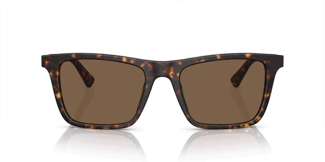 616173 - Tortoise - Dark Brown