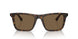 616173 - Tortoise - Dark Brown