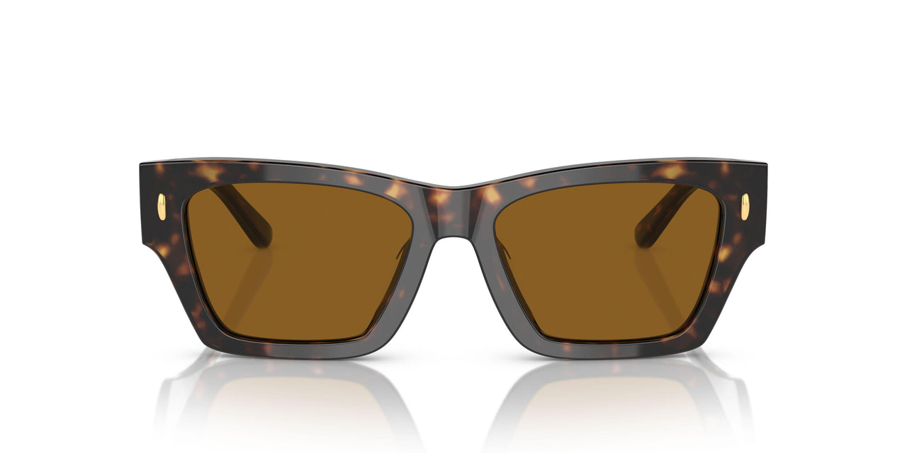 172883 - Tortoise - Dark Brown - Polar
