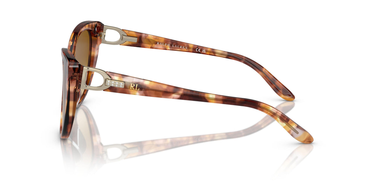 60932L - Tortoise - Gradient Yellow