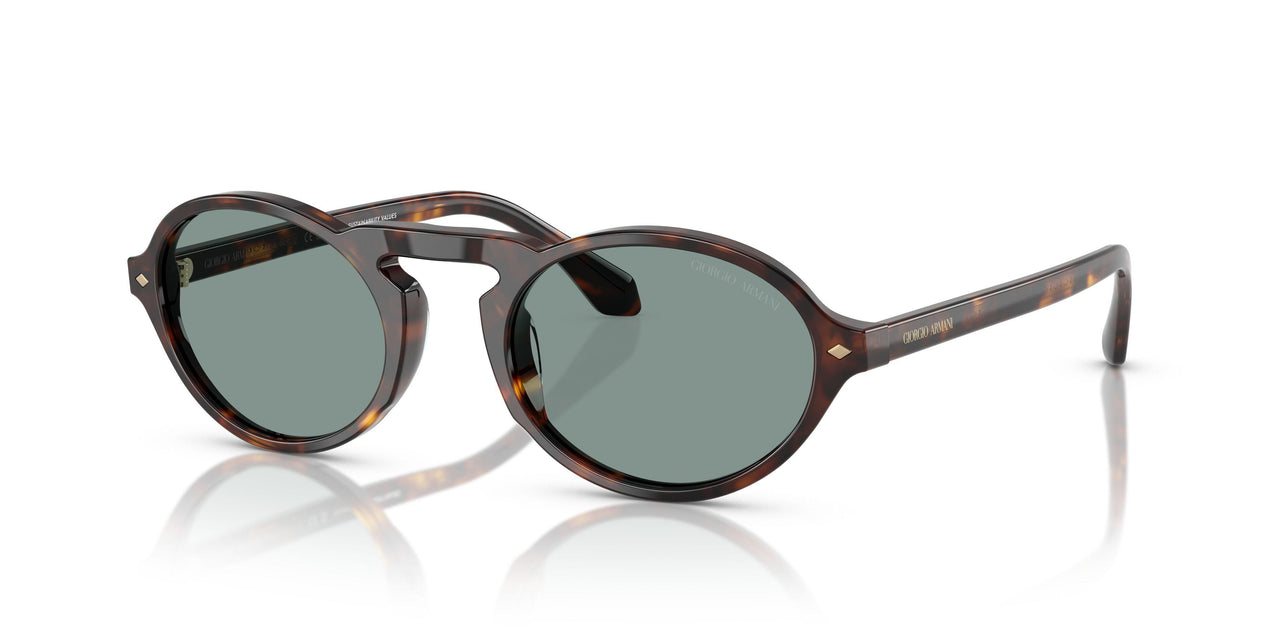 587956 - Tortoise - Grey