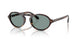587956 - Tortoise - Grey