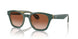 608613 - Green - Gradient Brown