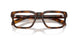 20D1O1 - Tortoise