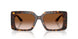 108/13 - Tortoise - Brown Gradient