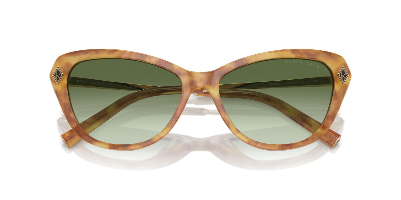 53043M - Tortoise - Gradient Green