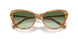 53043M - Tortoise - Gradient Green