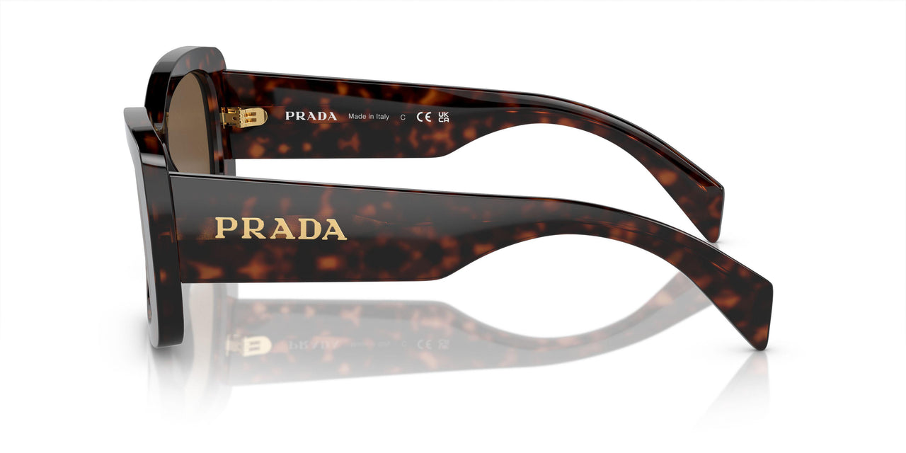 16N5Y1 - Brown - Dark Brown Polar