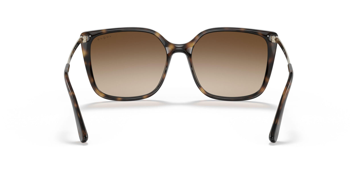 W65613 - Havana - Brown Gradient