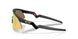 901510 - Black - Prizm 24k