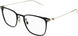 006 - Black/Gold - Transparent