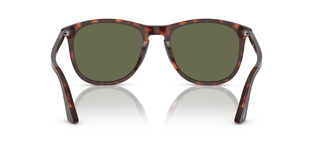 24/58 - Tortoise - Polar Green