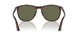 24/58 - Tortoise - Polar Green