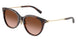 Tiffany 4243D Sunglasses